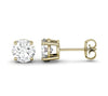 Gold Stud Earrings